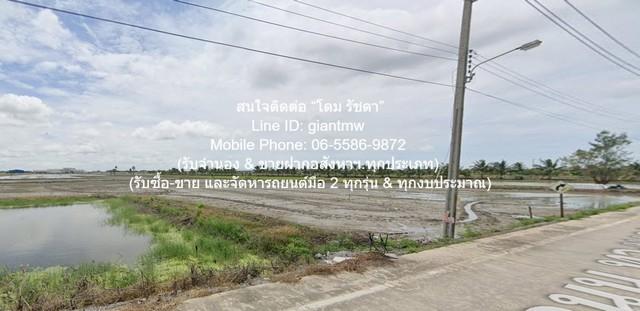 พื้นที่ดิน ขายที่ดินผังสีม่วงเข้ม 82-1-27.9 ไร่ บางพลีน้อย บางบ่อ จ.สมุทรปราการ ราคา 310 ล้านบาท (5.5 ล้านบาท/ไร่) 82 ไร