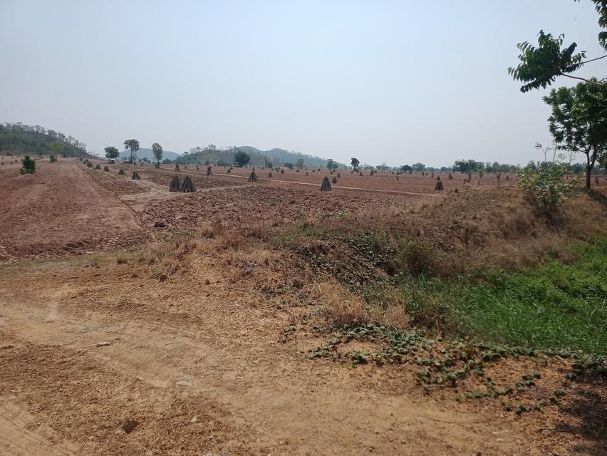 ขออนุญาตครับขายที่ดิน ภดส.11 จำนวน 500กว่าไร่ 9