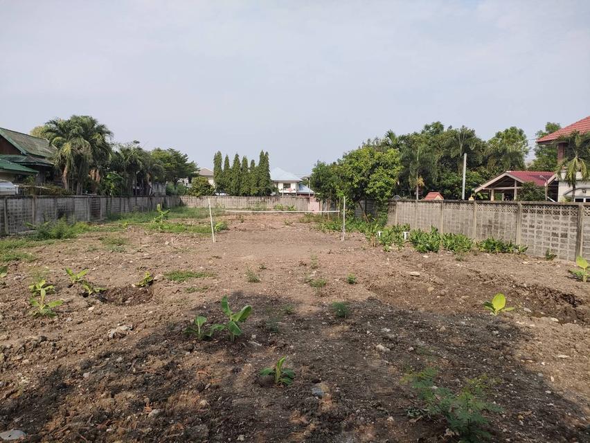 ให้เช่าที่ดินเปล่าถมแล้วในถนนมัยลาภ กรุงเทพมหานคร 9