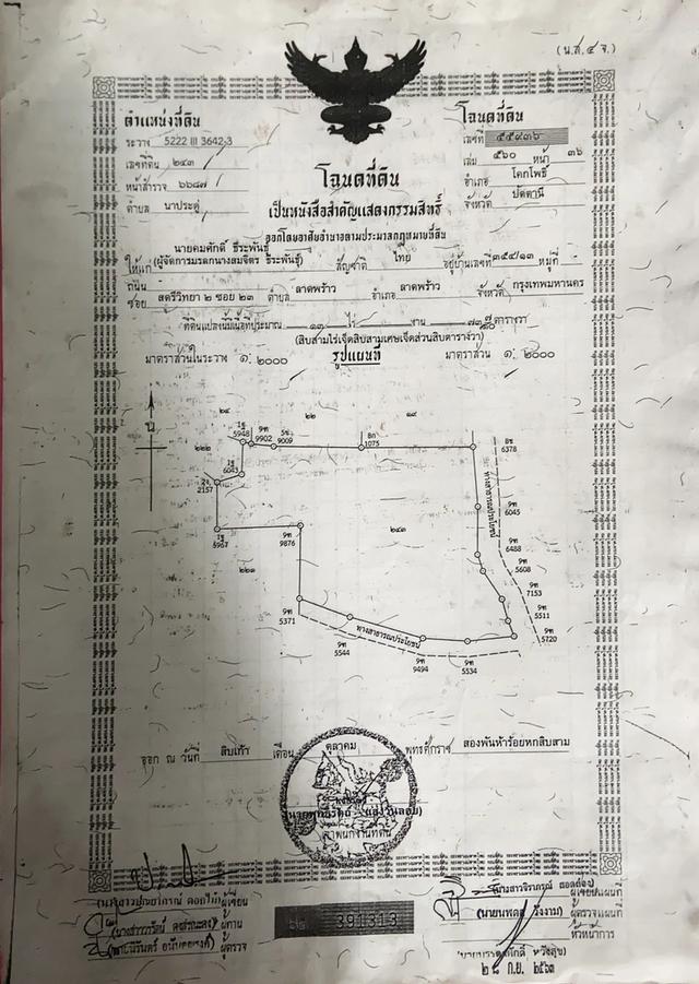 ทีดินปัตตานี 4