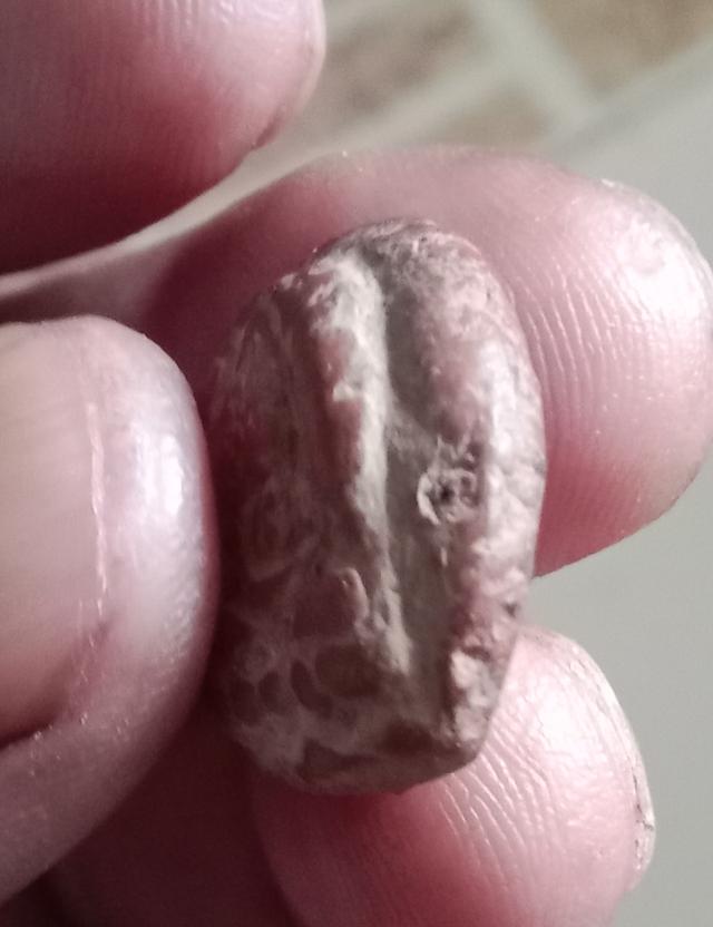 พระกำแพงซุ้มกอ ขนมเปี๊ยะ 7