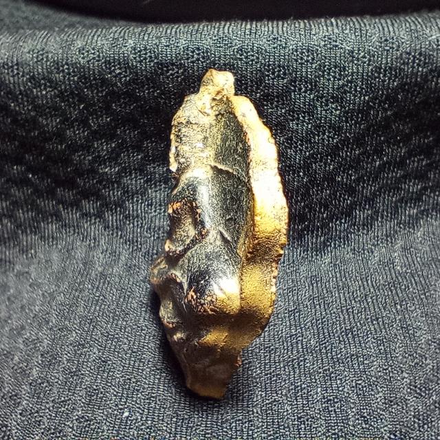 พระโพธิจักรหลวงพ่อลี หลังยันต์ดวง ส.๒ ขอบทอง วัดอโศการาม 4