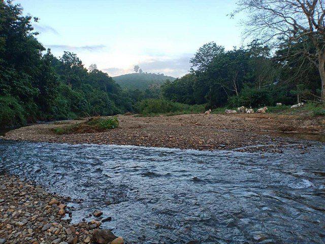 รูป ที่ดินติดลำธารน้ำมวบตำบลพงษ์ อ.สันติสุข น้ำชุ่มฉ่ำตลอดปี เมืองน 5