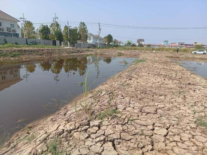 ขายที่ดินเปล่า 2 ไร่ ติดถนนคอนกรีต ซอยเทศบาลบางปู 83 8