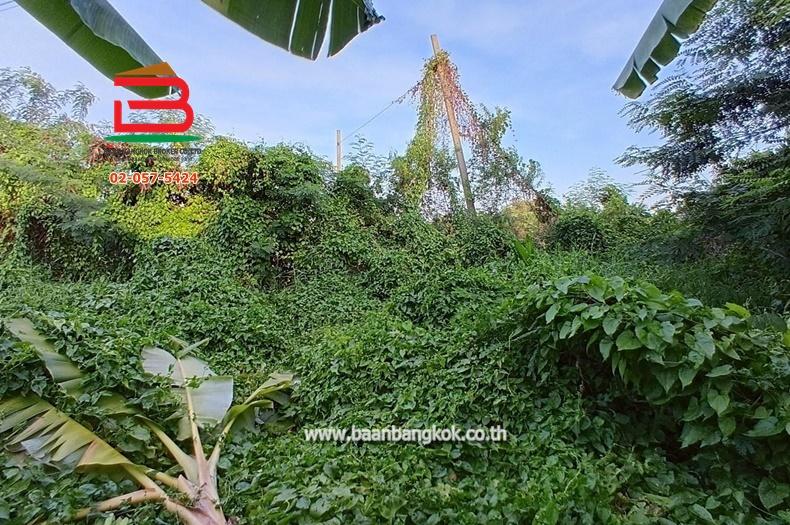 ขาย/เช่า ที่ดินถมแล้ว หมู่บ้านฉัตรหลวง เนื้อที่ 120 ตรว. ถนนกาญจนาภิเษก อ.ไทรน้อย จ.นนทบุรี 2
