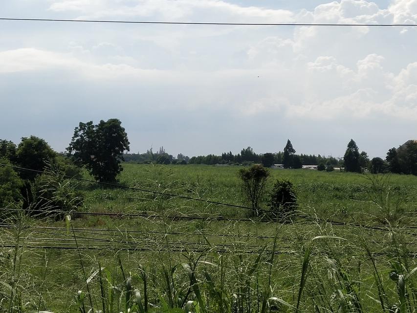 รูป ที่ดิน99ไร่ หน้าติดถนน331 หนองปรือ,พนัสนิคม 2