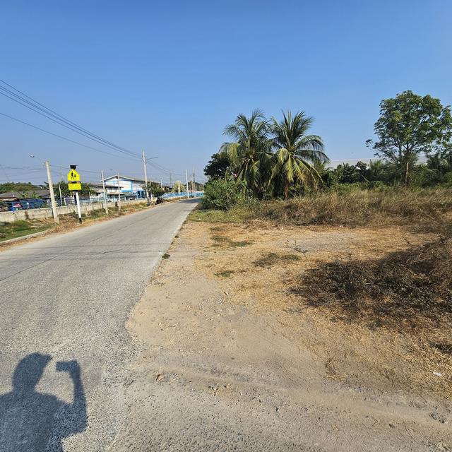 ที่ดิน ตำบลขุนศรี อำเภอไทรน้อย จังหวัดนนทบุรี 3