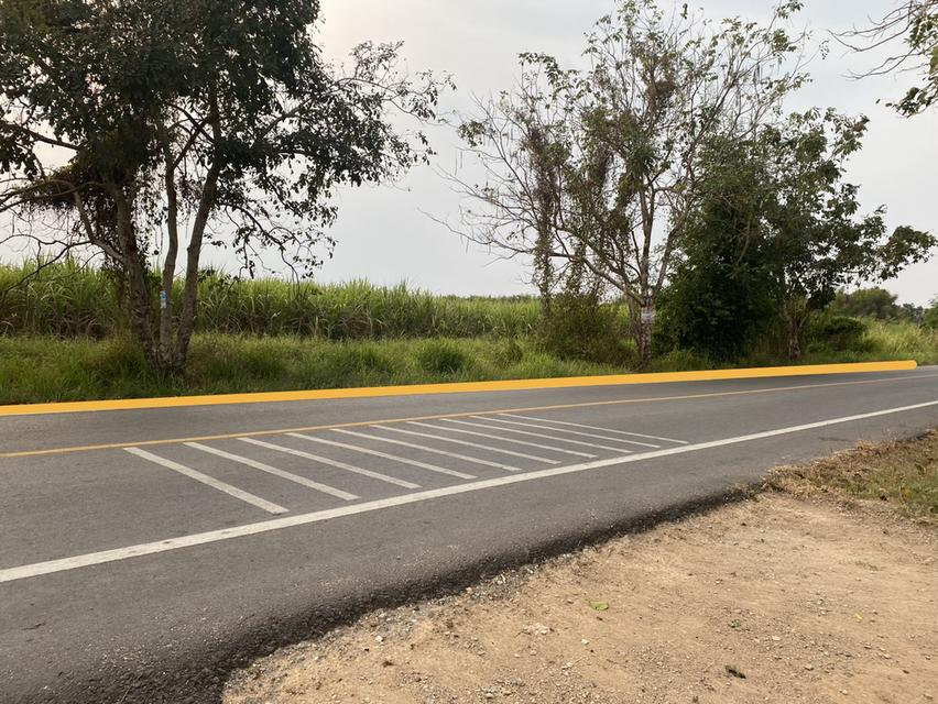 ขายที่ดิน เนื้อที่ 29 ไร่ เกาะจันทร์ จังหวัดชลบุรี 1