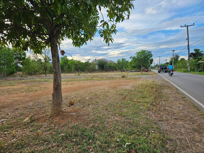 ขายที่ดิน ทำเลทอง ในเขตเทศบาลจอมบึง จังหวัดราชบุรี 4
