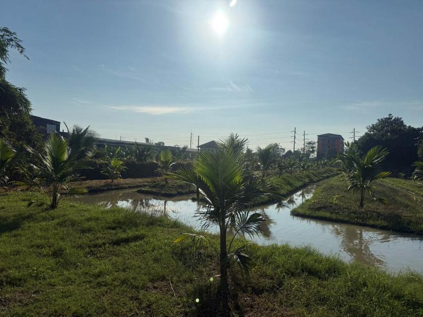 ขายที่ดิน 291.5 ตารางวา หน้าติดถนนสุคนธวิท หลังติดแม่น้ำ ตำบลตลาดกระทุ่มแบน กระทุ่มแบน สมุทรสาคร 2