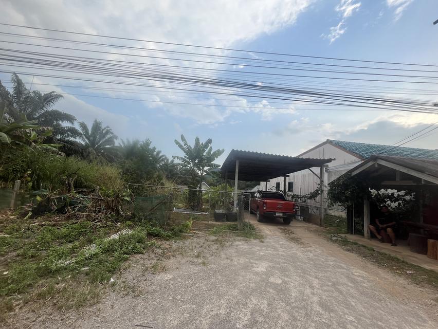 ขายที่ดิน 4 ห้อง land 3