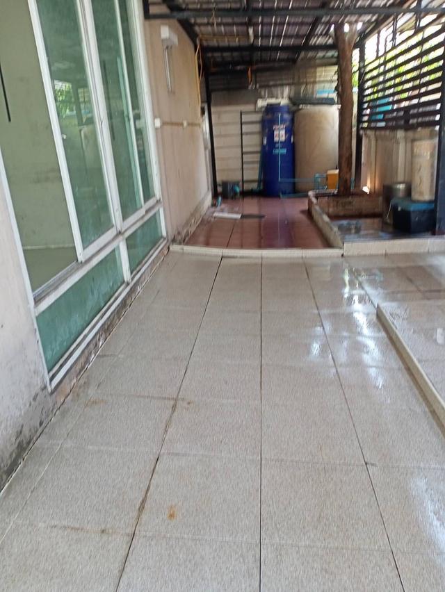 ขายบ้านเดี่ยว 2 ชั้น 3 ห้องนอน 2 ห้องน้ำ ต.พันธุ์ท้ายนรสิงค์ อ.เมือง จ.สมุทรสาคร 6