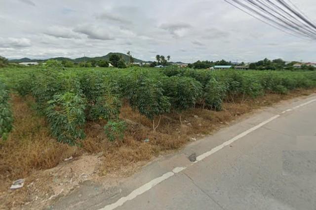 ให้เช่าที่ดินสีม่วงลาย43ไร่ย่านหนองค้อศรีราชาชลบุรีติดถนน331ใกล้ท่าเรือแหลมฉบัง ตรงข้ามกับนิคมอุตสาหกรรมปิ่นทอง2 7