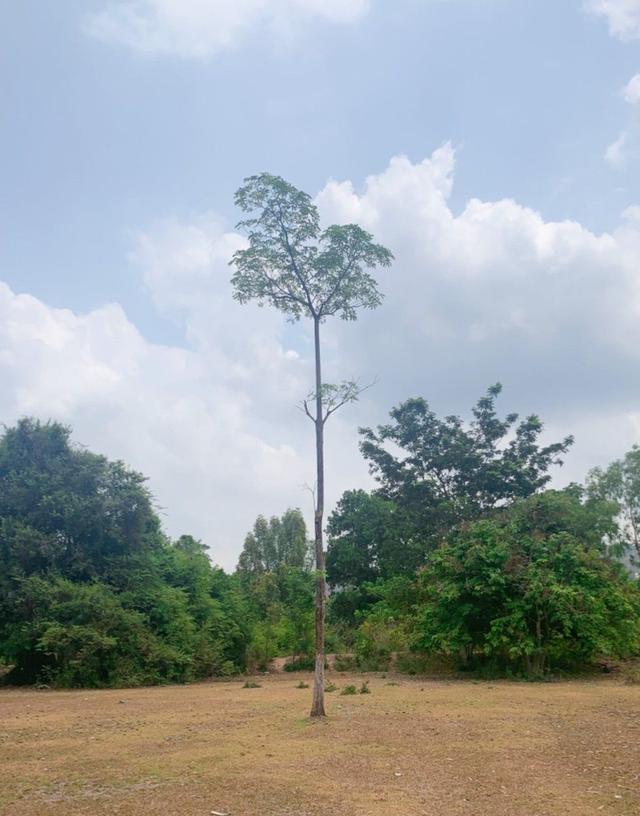 ที่ดินสองแปลงฝั่งตรงข้ามโรงเรียนเตรียมทหาร นครนายก 2