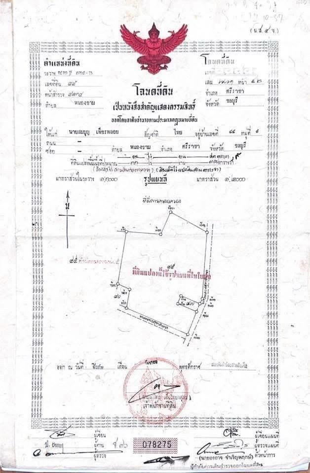 ขายที่ดินโฉนดครุฑแดง 3