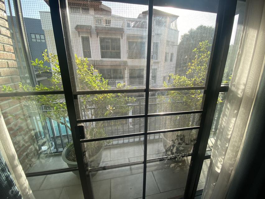 or Rent : House sukhumvit71, 250sqm, 70,000thb/month Contact Line ID : 2424yusuke 15