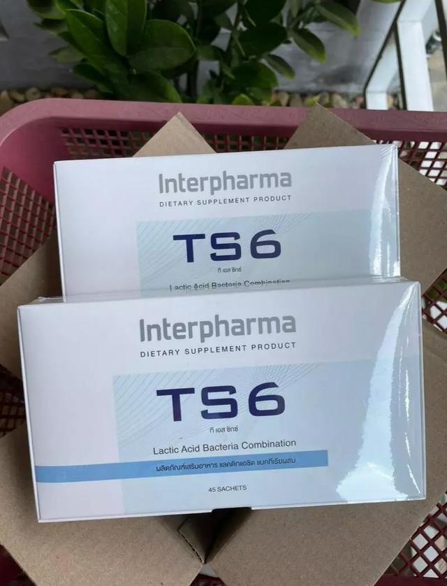 Interpharma TS6 Probiotic 