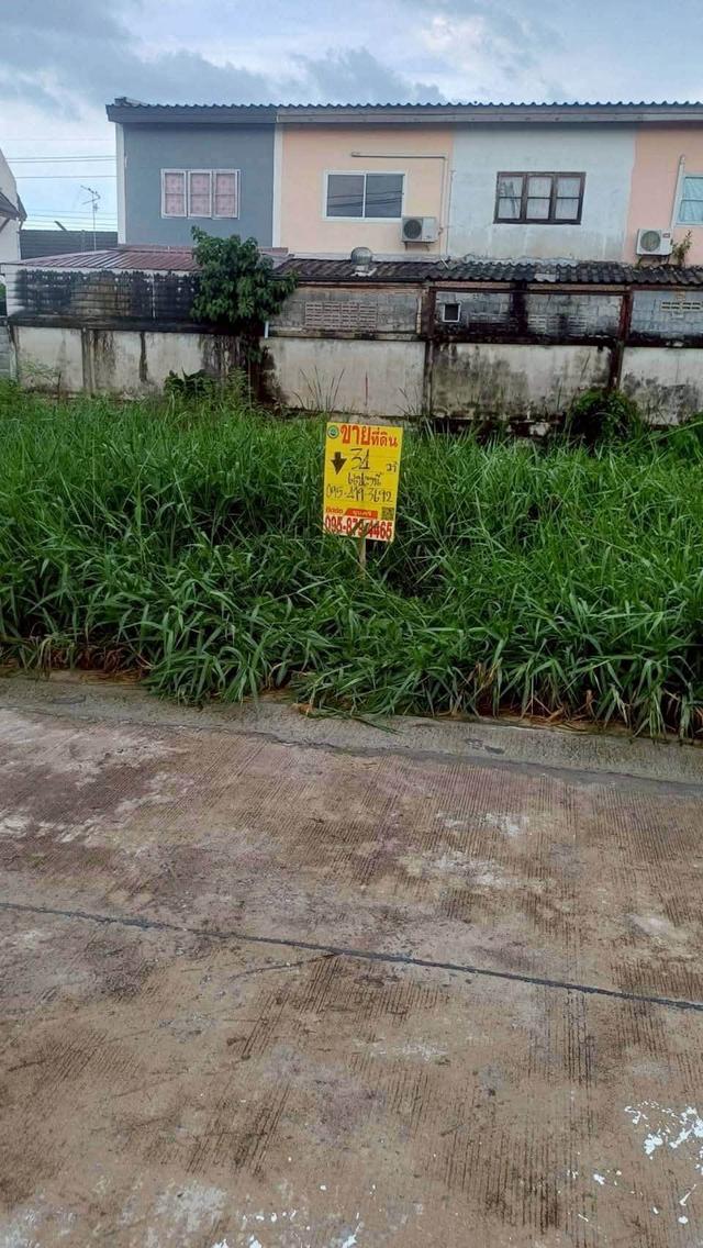 ขายถูกที่ดินลำลูกกา 34 ตรว ติดถนนคอนกรีตสาธารณะ ซ.เมตตา ต.บึงคำพร้อย จ.ปทุมธานี 7
