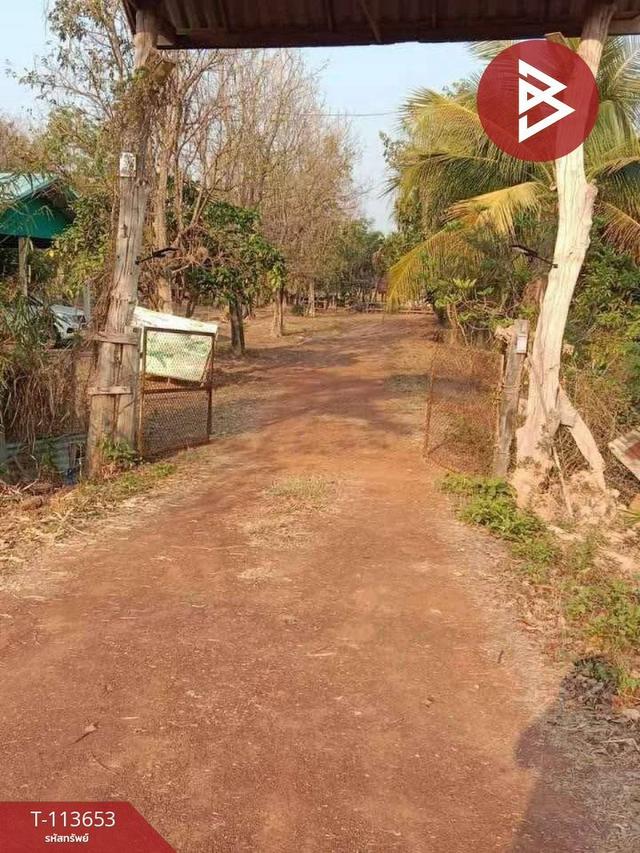 ขายที่ดินพร้อมสิ่งปลูกสร้าง ติดถนนใหญ่ เนื้อที่ 12 ไร่ 2 งาน 79.0 ตารางวา ถนนทางหลวงชนบท ตำบลหมากแข้ง เมืองอุดรธานี 15