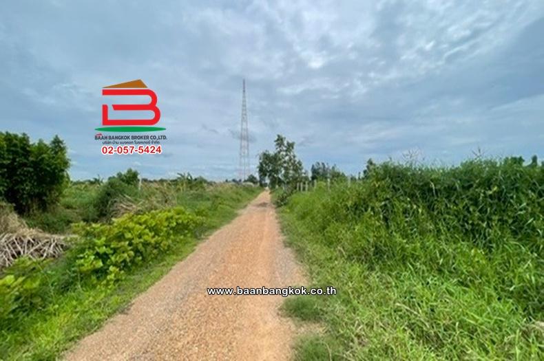 ที่ดินเปล่า เนื้อที่ 1-0-22 ไร่ ใกล้วัดประยงค์กิตติวนาราม ถนนประชาสำราญ แขวงคลองสิบสอง เขตหนองจอก 8