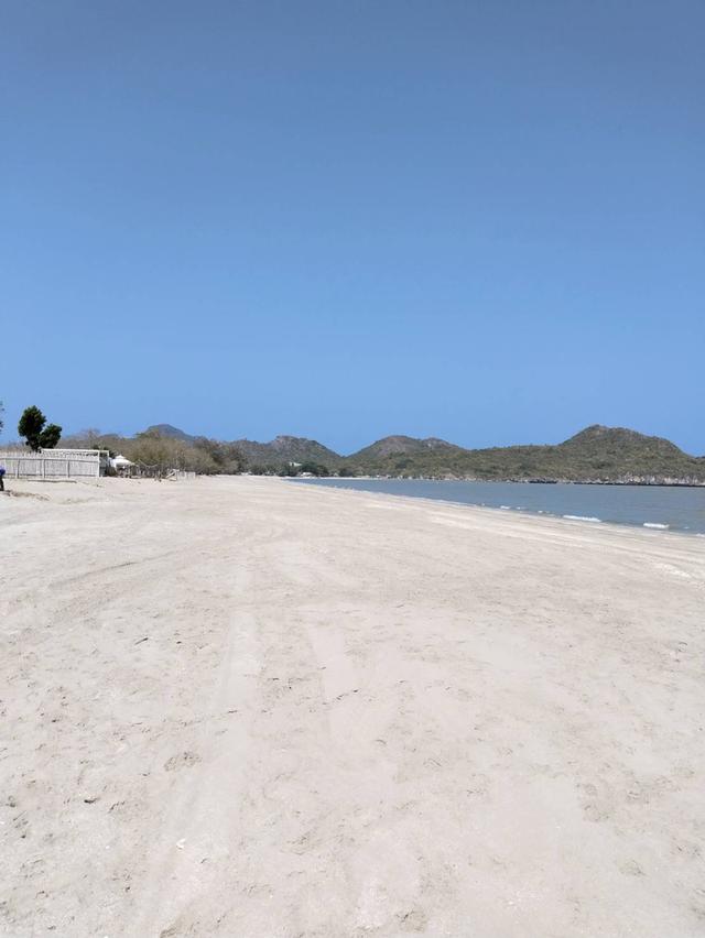 ที่ดินทำเลทอง ติดชายทะเล หาดสวนตัว หน้ากว้างถึง 110 เมตร กุยบุรี ประจวบคีรีขันธ์ ใกล้หมู่บ้าน ใกล้สะพานปลา มีวิวภูเขา ด้านหน้าเป็นวิวทะเลหาดส่วนตัว 3