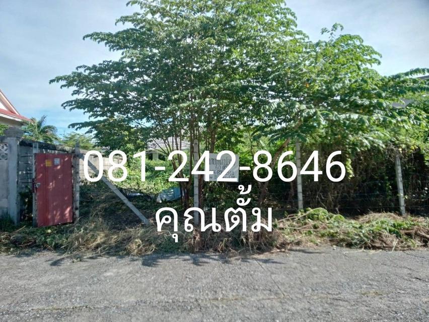 ที่เปล่า