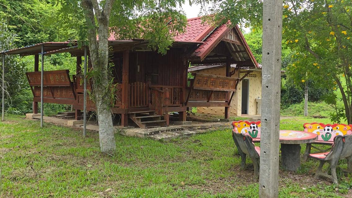 ที่ดินและบ้านพักสวนผึ้ง ติดถนน ติดห้วยน้ำตกเก้าชั้น บรรยากาศท่ามกลางหุบเขา 14