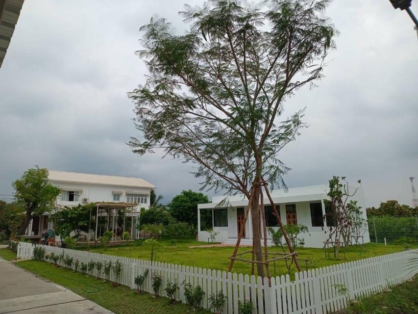ขายที่ดิน 5 ไร่ พร้อมบ้านพักสไตล์รีสอร์ท ติดคลองสวย พร้อมโอน บ้านแพ้ว 4 ตำบลหลักสาม สมุทรสาคร  2