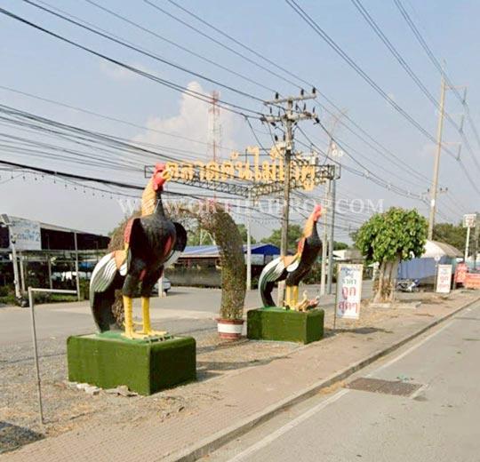 ที่ดินถมแล้ว คลอง14 ถนนรังสิต-นครนายก ใกล้มหาวิทยาลัยเซนต์เทเรซา อ.องครักษ์ จ.นครนายก 11