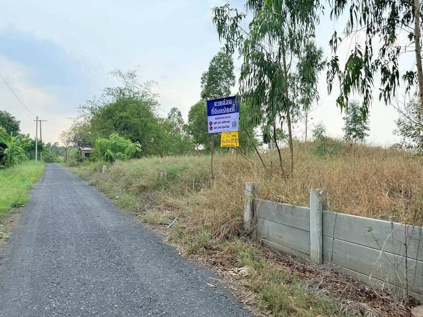 Vายที่ดินใกล้เวิร์คพอยท์ 218 ตารางวา ถมสูงทั้งแปลง ถนนเลียบคลองเปรม  อ.เมืองปทุมธานี จ.ปทุมธานี 1