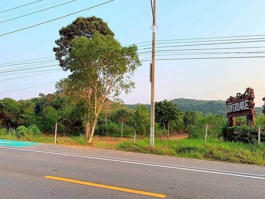 ขายที่ดินสวย พัทยา บางละมุง ชลบุรี 6