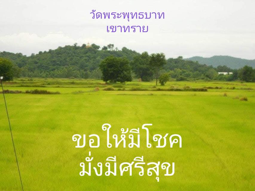 ที่ดิน ต.เขาทราย อ.ทับคล้อ จ.พิจิตร 3