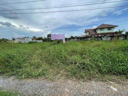 ที่ดินเปล่า 131 ตร.ว. ต.บางพูด อ.ปากเกร็ด จ.นนทบุรี 7