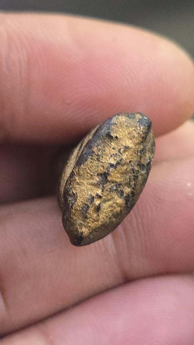 พระสังกจายน์เนื้อผงคลุกรัก ปิดทอง 5