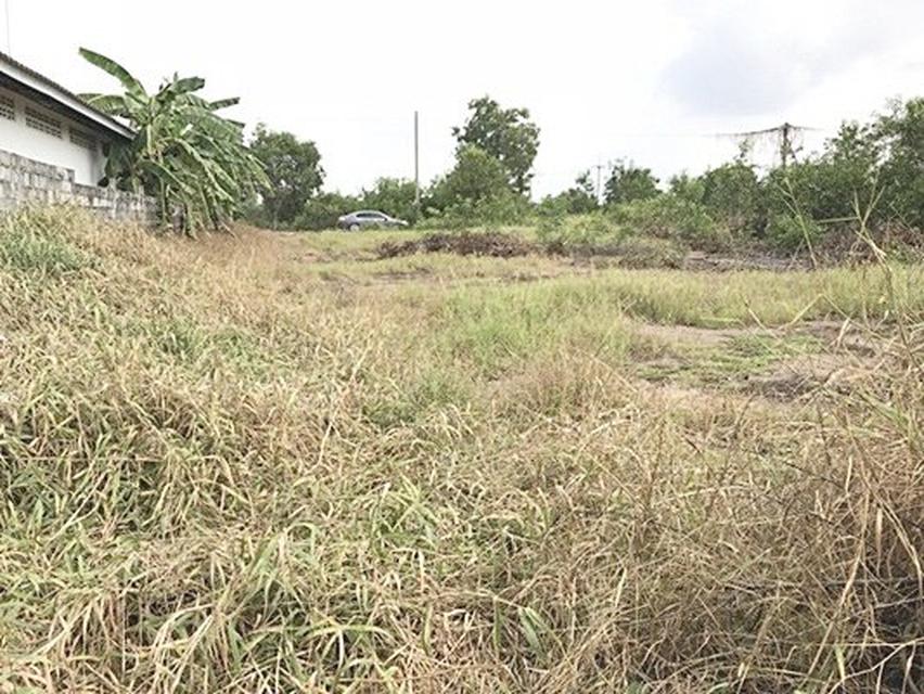 ที่ดิน ตำบลบ้านแถว อำเภอเสนา พระนครศรีอยุธยา200ตรว 4