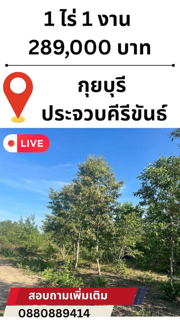 ที่ดิน กุยบุรี ประจวบคีรีขันธ์ ขนาด 1 ไร่ 1 งาน 289,000 บาท