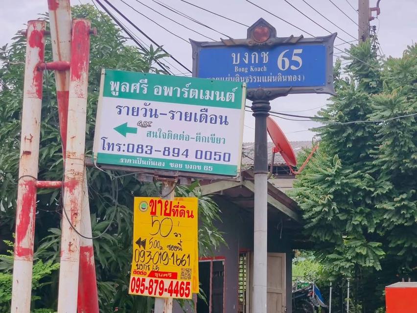ขายด่วนที่ดินคลองสอง 50 ตารางวา ติดถนนสาธารณะ ถมแล้ว ซอยบงกช 65 คลองหลวง ปทุมธานี 2