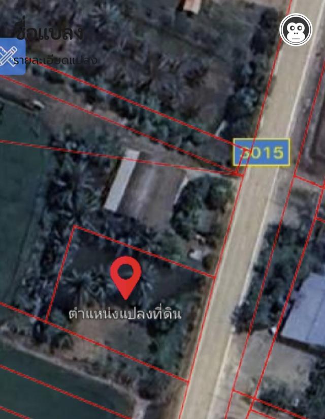 ขายด่วนที่ดินทำเลดี ไทรใหญ่ จ.นนทบุรี 5