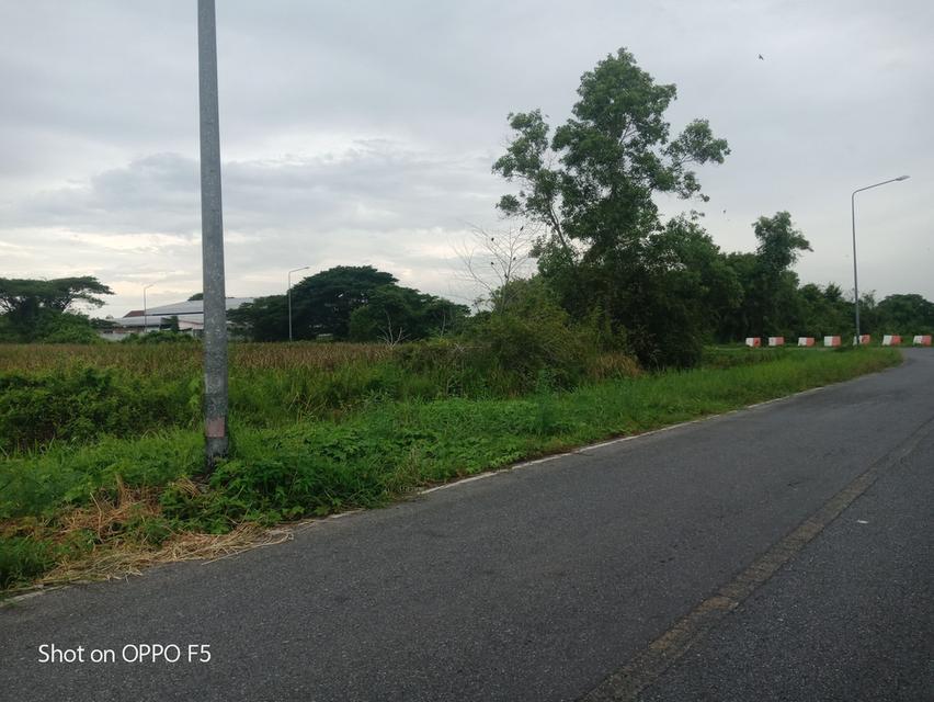 ขายที่ดินแปลงหัวมุมติดถนนพัฒนาการคูขวาง2ด้านหน้ากว้าง800เมตรผังเหลืองเหมาะพัฒนาอสังหาริมทรัพย์ 6
