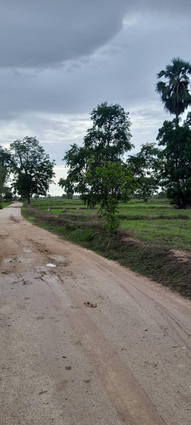 ที่ดิน 4