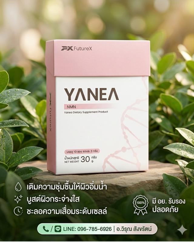 ญาเน่ผลิตภัณฑ์​เสริม​อาหาร​ชะลอ​ความ​เสื่อ​มระดับ​เซลล์​