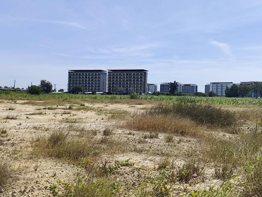 Sale beautiful land Nakhon Pathom near University Kaset 12