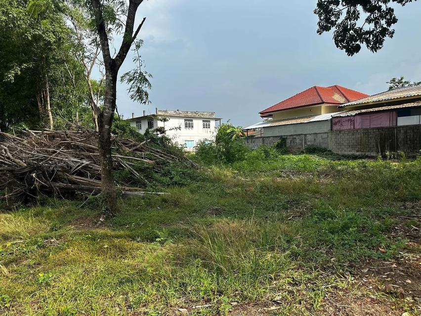 ที่ดิน เขตเทศบาลเมืองอุทัยธานี ตำบลอุทัยใหม่ อำเภอเมือง จังหวัดอุทัยธานี 6