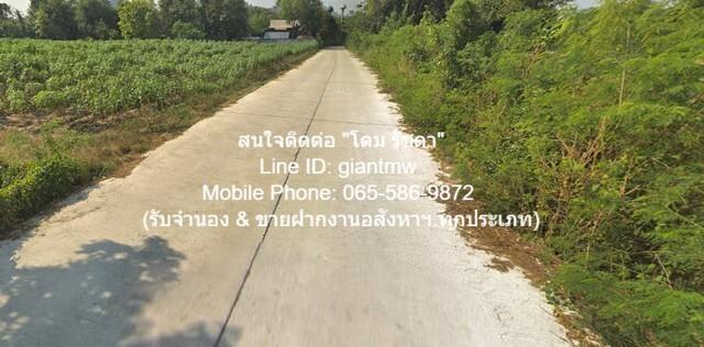 พื้นที่ดิน ที่ดินเขาชีจรรย์ สัตหีบ ชลบุรี ขนาด 7 RAI 3 ngan 15 sq.wa ถูกและดี 4