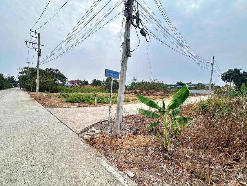 ขายที่ดิน1งาน30ตรว.ที่สวยติด2ถนนหน้าหลังด้านหลังติดคลอง 2