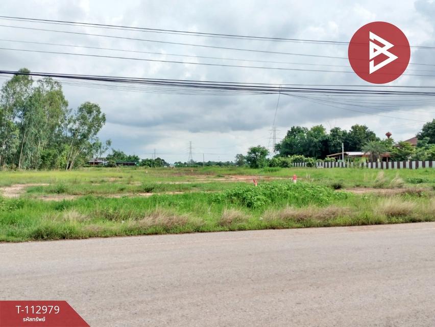 ขายที่ดิน เนื้อที่ 5 ไร่ ตำบลดอนทอง เมืองพิษณุโลก จังหวัดพิษณุโลก 12