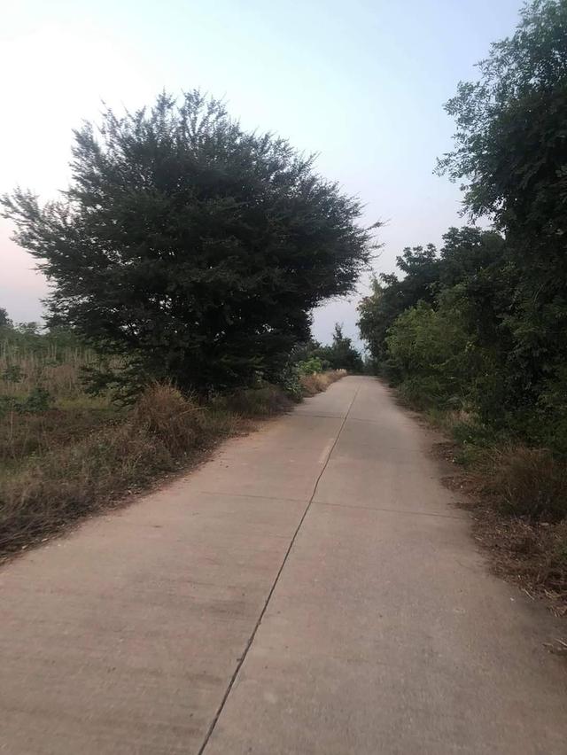 ขายที่ดิน 6