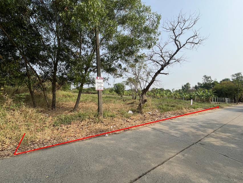 ืที่ดินเปล่าถมแล้ว โครงการเวิลด์คลับแลนด์ 5