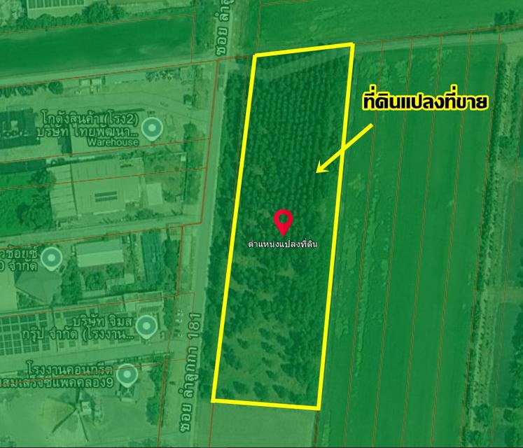 ขายที่ดินเปล่า ซอยลำลูกกา181 คลอง9 6