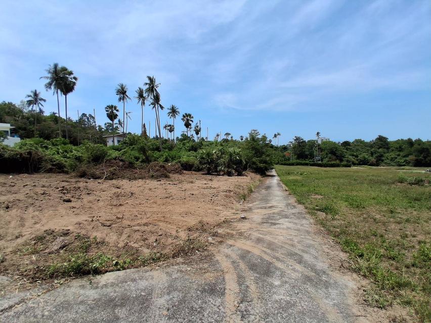 📍Land For Sale in KOH Samui 2